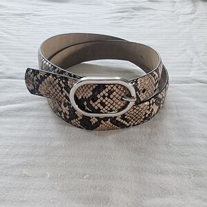 Chic Snakeskin Belt with Silver Buckle